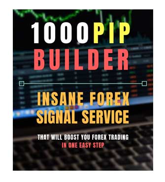 1000pip Builder Review2 - make money online