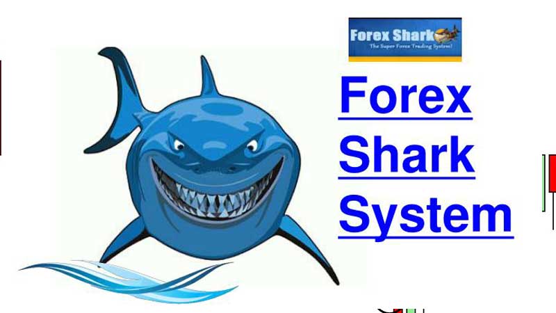 Forex Shark Review - make money online