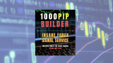 1000PIP Builder Review